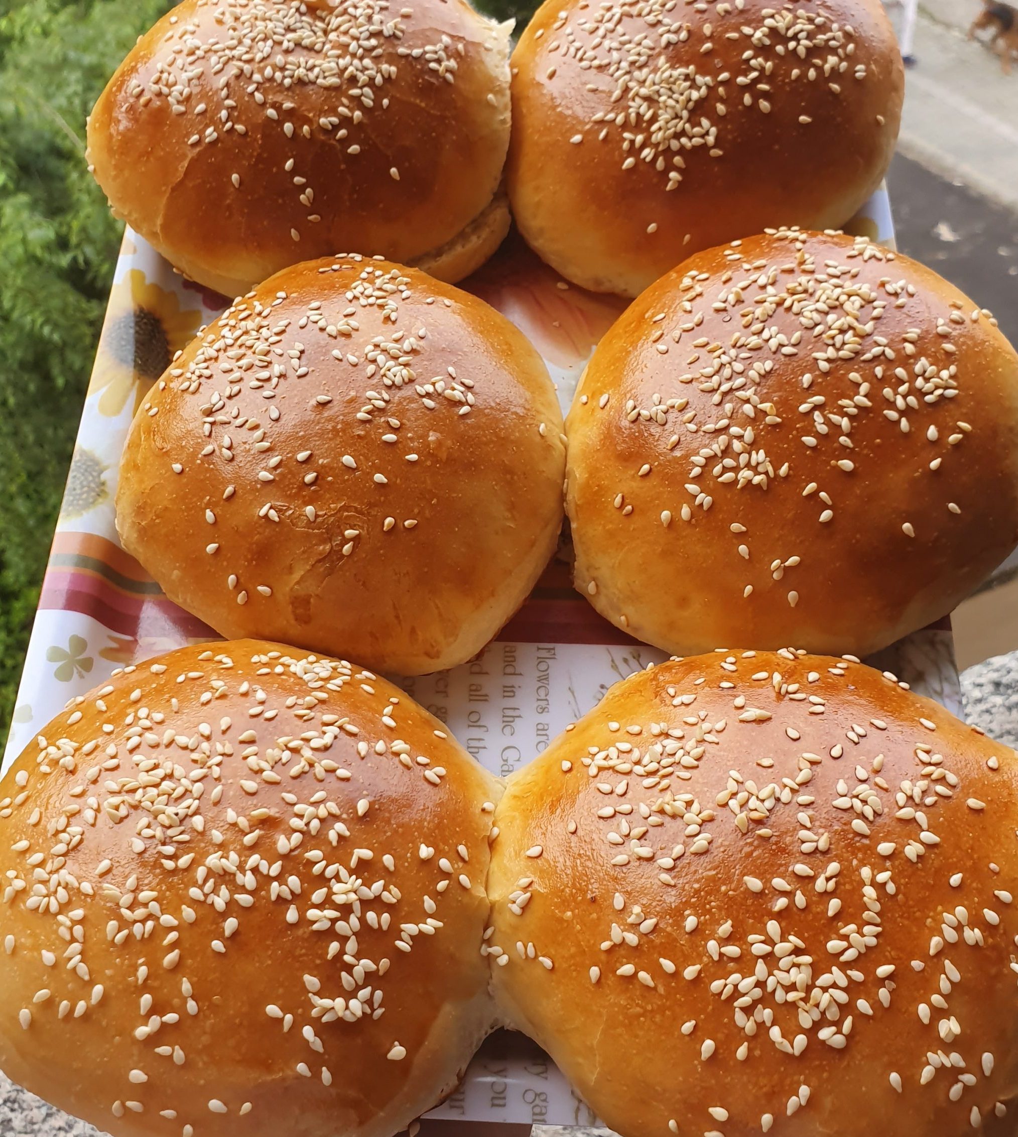 Panino per Hamburger (Burger Bun) Piatti Tipici